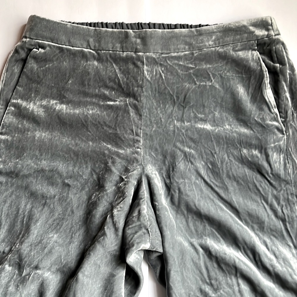 J. Crew Velvet Party Pants Size 16 Luxurious 🎉